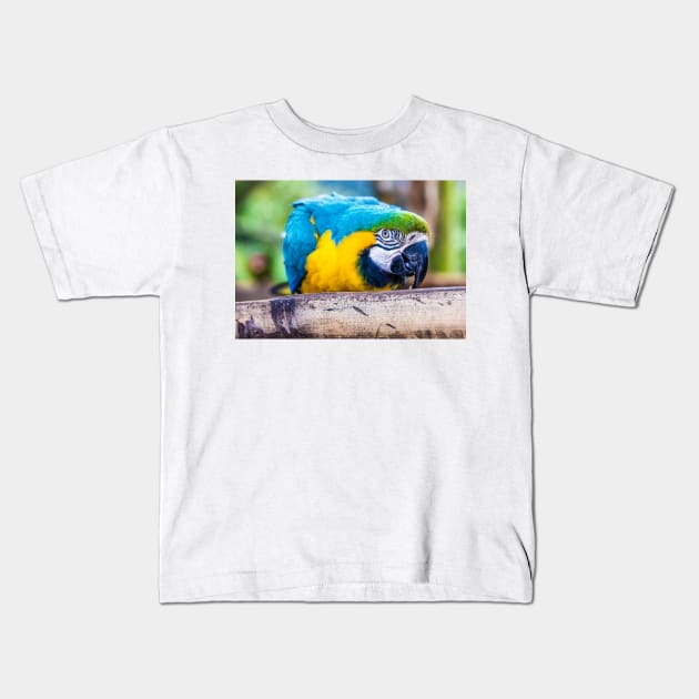 Macaw Kids T-Shirt by static-shotz